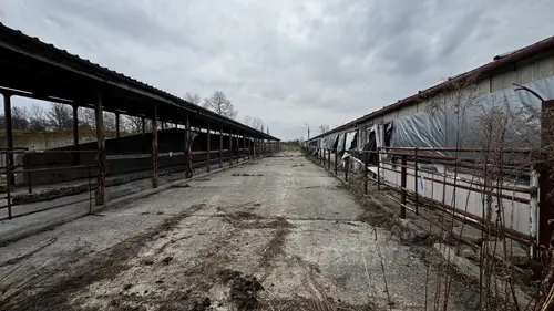 Gospodarstwo - zdjęcie 17/26