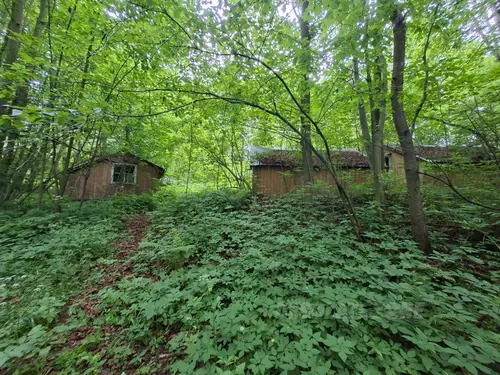 domki letniskowe - photo 2/7