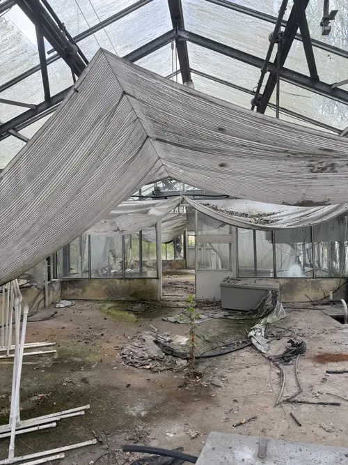 Opuszczone szklarnie - zdjęcie 6/7