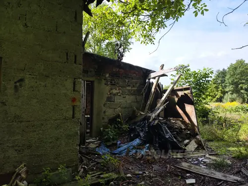 Opuszczony dom na skraju lasu - zdjęcie 38/59