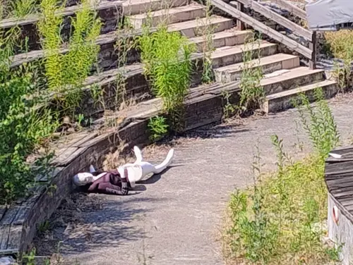 Skansen w Nagawkach - photo 6/148