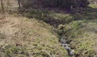 Budynek plantacji borówek