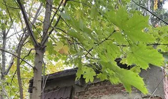 Opuszczony dom