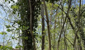 Opuszczone domki - zdjęcie 2/4