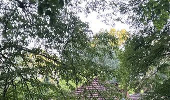 Elektrownia, spiżarnia i dworek