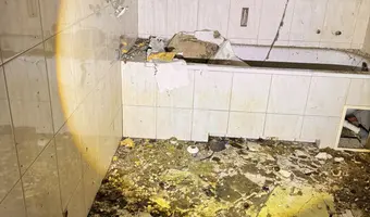 Mocno zarośnięty dom przy drodze