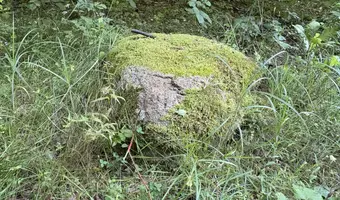 Ruiny opuszczonego domu