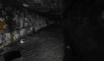 Zakład dla nerwowo i psychicznie chorych Żydów - zofiówka