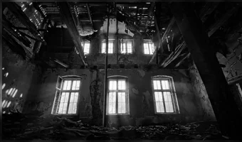 Pałac w trawnikach, trawniki