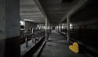 I n s t y t u t h o d o w l i b y dŁ a, b r w i nÓ w - photo 4/4