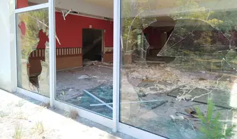 Złota Sosna