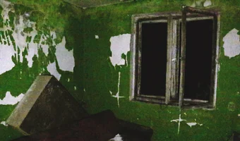 2 opuszczone domy w lesie - zdjęcie 4/4