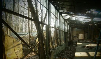 Opuszczone szklarnie