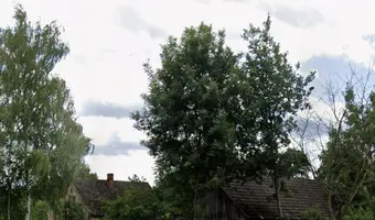 Gospodarstwo