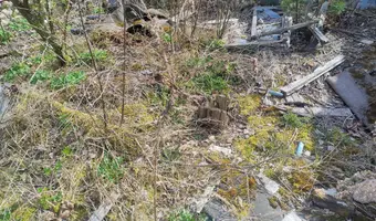 Spalone gospodarstwo w Łodzi - zdjęcie 2/4