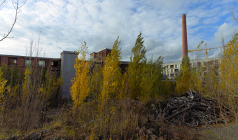 Fabryka i hale szedowe