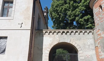 Pałac, dąbrowa niemodlińska