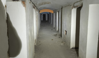 Pałac z x i x-wieku., dreżewo