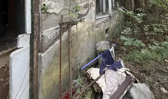 Zarośnięty dom