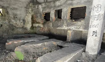 Cegielnia w Psurzu k. Kutna, Psurze