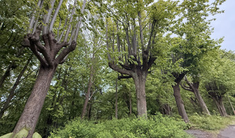 Restauracja Górski Zamek, Sopot Kamienny Potok,