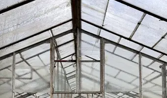 Opuszczone szklarnie - zdjęcie 3/4