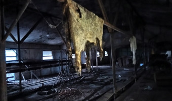 Opuszczone gospodarstwo i spalony dom sady opolskie