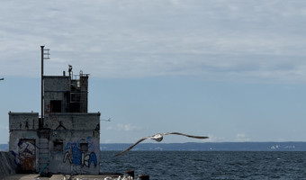 Falochron portu wojennego