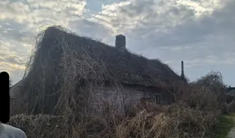 Opuszczony dom, dzierdziówka - zdjęcie 3/4