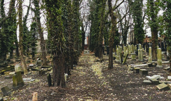 Stary Cmentarz Żydowski, Katowice,