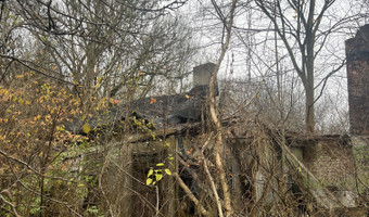 Ruiny domu i gospodarstwa