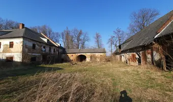 Drewniany młyn