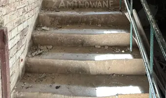 Pałac z  XIX-wieku., Dreżewo