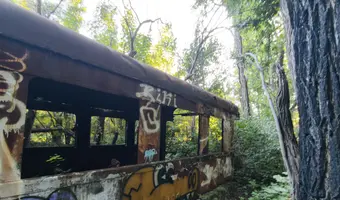 Wagon