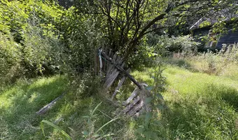 Opuszczona leśniczówka - zdjęcie 4/23