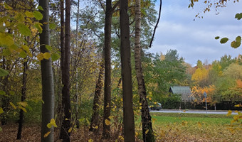 Opuszczone słupy, nadarzyn