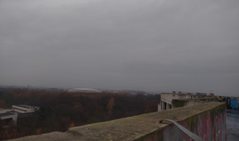 Czyżyński szkieletor