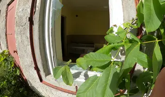 Opuszczony dom na skraju lasu