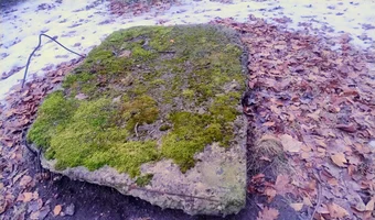 Schron - park poniatowskiego, Łódź