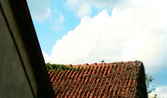 Opuszczony dom - zdjęcie 5/5