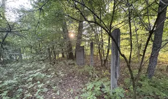 Opuszczona studnia w lesie - zdjęcie 3/8
