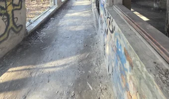 Zakład dla nerwowo i psychicznie chorych Żydów - zofiówka