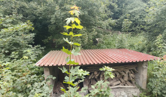 Restauracja " graność", rudawa