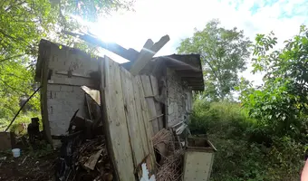 Opuszczony dom na skraju lasu