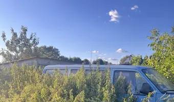Cmentarzysko samochodów