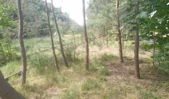 Opuszczona stacja kolejowa tama brodzka - photo 4/4
