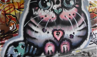 Opuszczony budynek biurowy zespołu fabrycznego ( sienkiewicza 163)