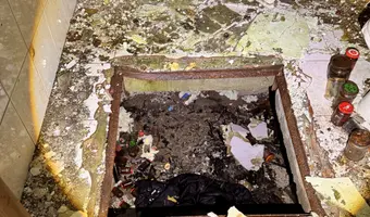 Mocno zarośnięty dom przy drodze
