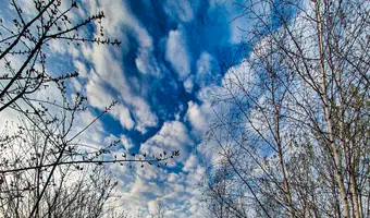 Opuszczona willa smulsko - photo 2/4