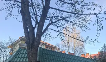 Opuszczony sklepik - zdjęcie 2/2